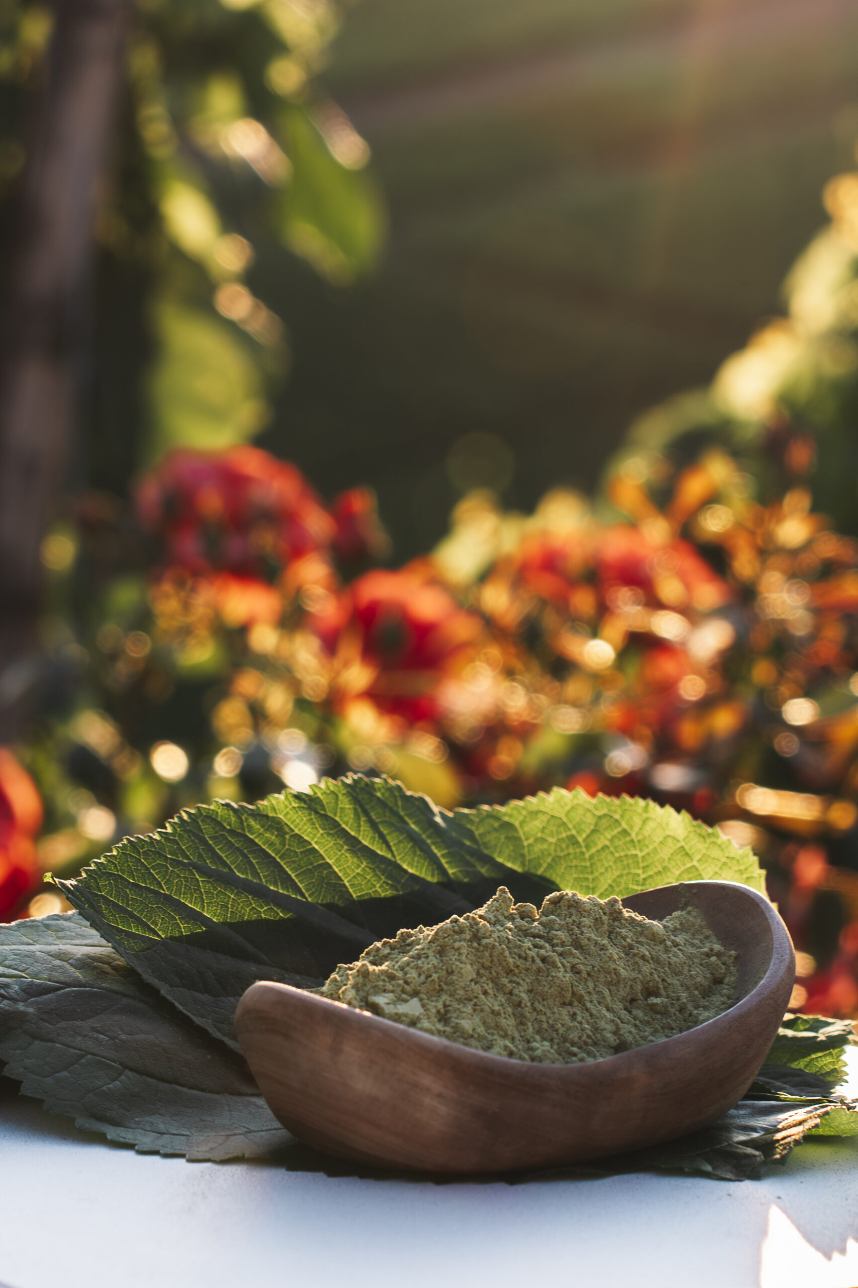 Helles Kratom-Blattpulver als symbolische Darstellung der White-Vein-Kategorie